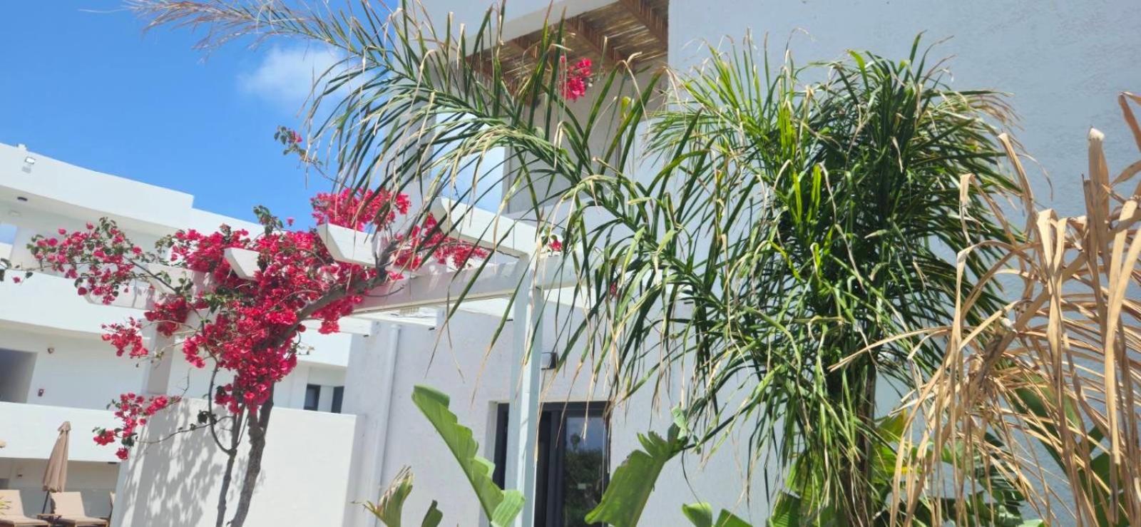 Aegean View Hotel - Adults Only Sfáka エクステリア 写真
